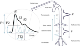 pda image demonstrating effectiveness